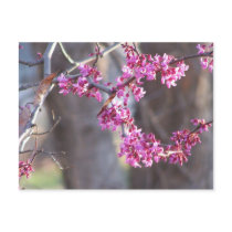 red buds post cards