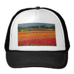Red Bulb growing, Lisse, Holland flowers Trucker Hat