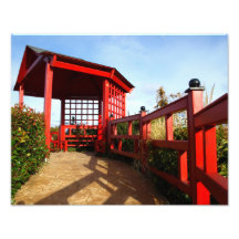 Red Cabin Photo Art
