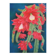 Red Cactus Canvas Print