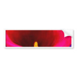 Red Cala Lily Flower Painting Art - Multi Bumper Sticker