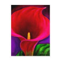 Red Cala Lily Flower Painting Art - Multi Postcard