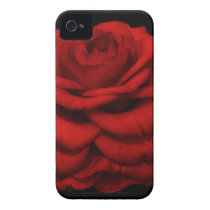 Red Camellia iPhone Case Iphone 4 Cover