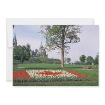 Red Canadian flag with tulips, Major's Hill Park, Invite