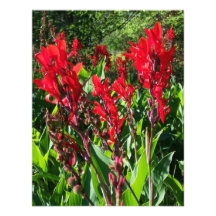 RED CANNAS ~ GARDEN PARTY GARDEN CLUB INVITATIONS!