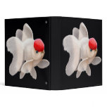 Red Cap Oranda Goldfish Binder