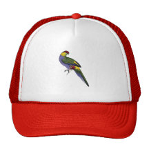 Red Capped Parakeet Parrot Bird Mesh Hat