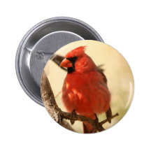 Red Cardinal  Button