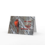 Red Cardinal In Snow - Belated Birthday Card
