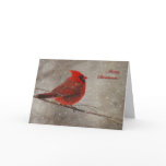 Red Cardinal In Snow - Christmas Card
