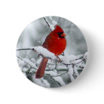 Red Cardinal in the Snow Button