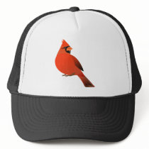 Red Cardinal Male Bird