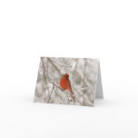 Red Cardinal (Note Cards)