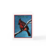 Red Cardinal on Snow Covered Tree Branch