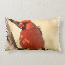 Red Cardinal  Pillow