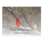 Red Cardinal Postcard