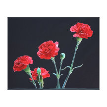 red carnations wrapped canvas stretched canvas print