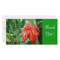 Red Carribean Rose Exotic Flower
