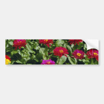Red Cascade of flowers flowers Bumper Stickers