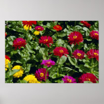 Red Cascade of flowers flowers Print