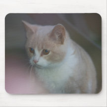 Red cat mousepad