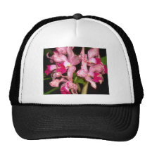 Red Cattleya flowers Hats