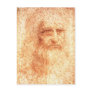 Red Chalk Leonardo da Vinci self-portrait postcard