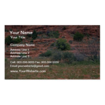 Red Church of Holy Cross flowers Business Cards