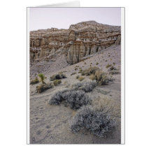 Red Cliffs 4 Card