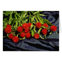 Red clover flowers on blue fabric flowers cards