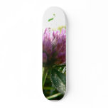 Red Clover skateboards