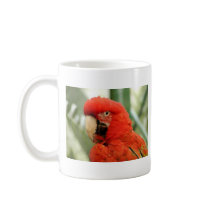 red cockatoo, red cockatoo mugs