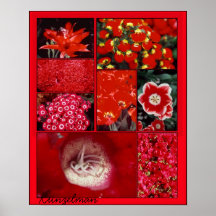 "RED COLLAGE" GICLEE PRINT