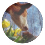 Red Cow and Yellow Daffodils Party Plate