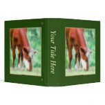 Red Cow in the Green Meadow