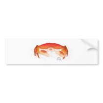 Red Crab Bumper Sticker