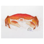 Red Crab letterhead