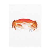Red Crab Postcard