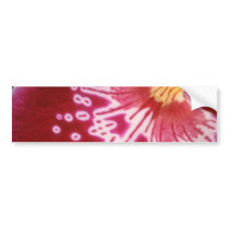 Red Crimson approach flowers Bumper Sticker