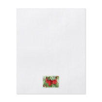 Red Currants on the Plant. Green Leaves. Full Color Flyer
