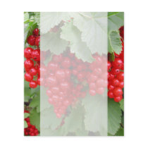 Red Currants on the Plant. Green Leaves. Personalized Flyer