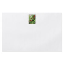 Red Currants on the Plant. Green Leaves. Flyer Design