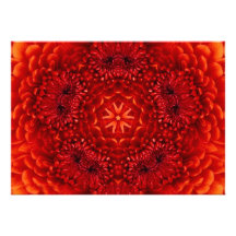 RED DAHLIA,  bright  black Invite