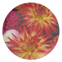 Red Dahlia Plate