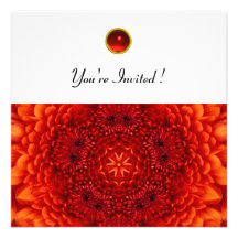 RED DAHLIA, RUBY,   bright  black white Invite