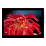 Red Dahlia: www.GraceArtGroup.com Greeting Card