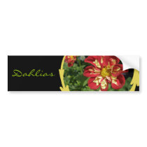 Red Dahlias