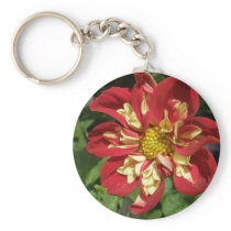 Red Dahlias