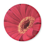 Red Daisy Flower Painting Art - Multi Refrigerator Magnet