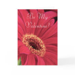 Red Daisy Flower Painting - Card